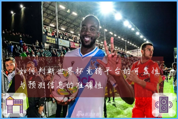 如何判断世界杯竞猜平台的可靠性与预测信息的准确性
