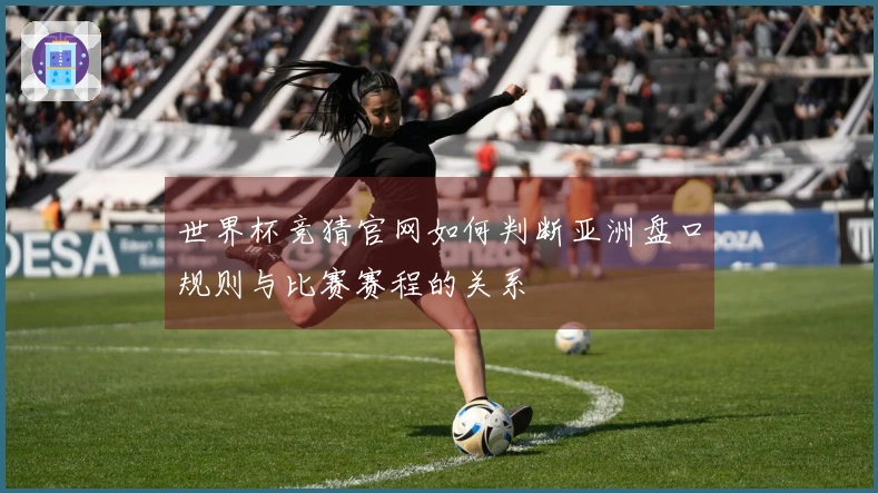 NG体育体育资讯图片