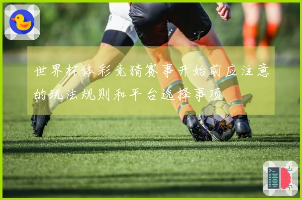 世界杯体彩竞猜赛事开始前应注意的玩法规则和平台选择事项