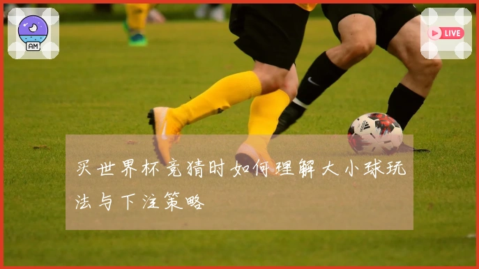买世界杯竞猜时如何理解大小球玩法与下注策略