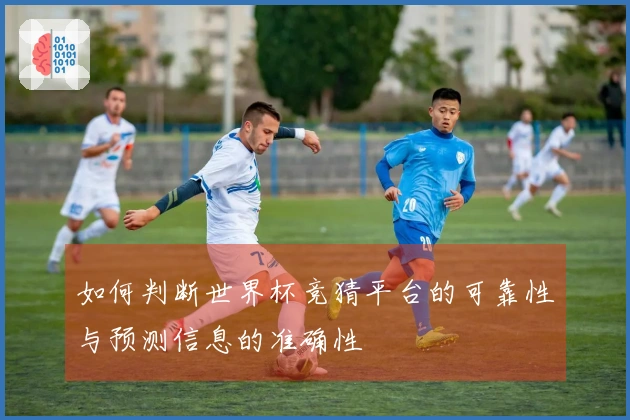 如何判断世界杯竞猜平台的可靠性与预测信息的准确性