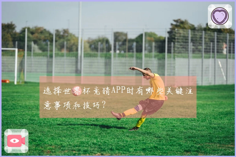 选择世界杯竞猜APP时有哪些关键注意事项和技巧？